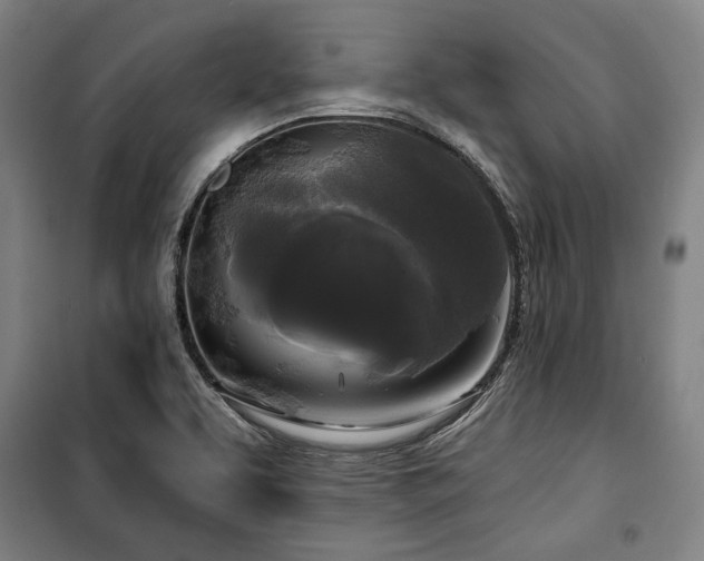 X0000100331463200806051523