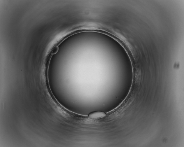 X0000100331464200806051522