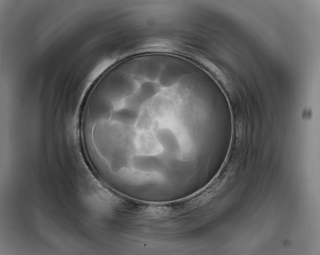 X0000100331466200806051522