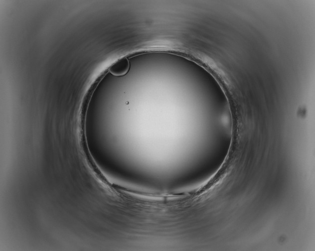 X0000100331469200806051522