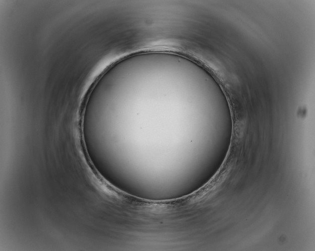 X0000100331470200806051522