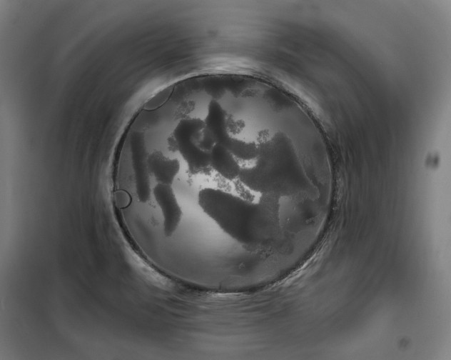 X0000100331471200806051522