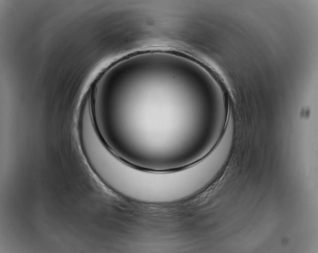 X0000100331472200806051522