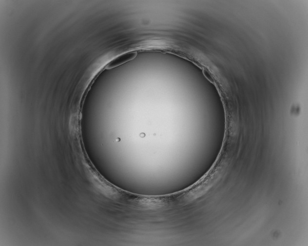 X0000100331473200806051522