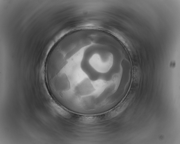 X0000100331474200806051522