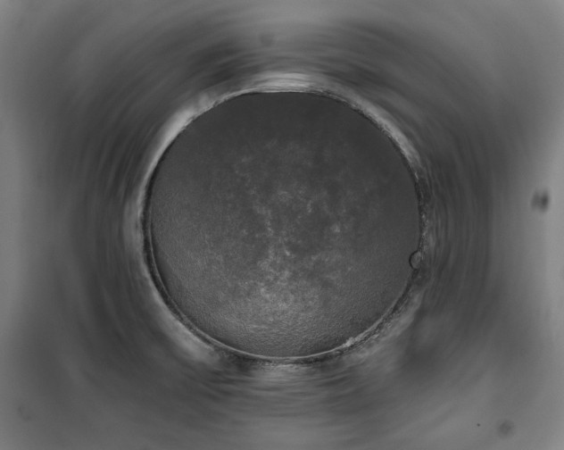X0000100331475200806051522