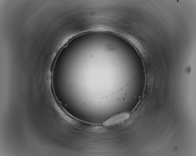 X0000100331476200806051522