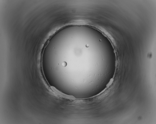 X0000100331477200806051522