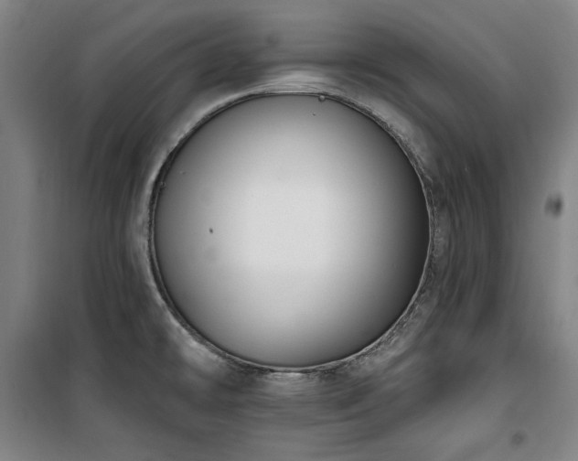 X0000100331478200806051522