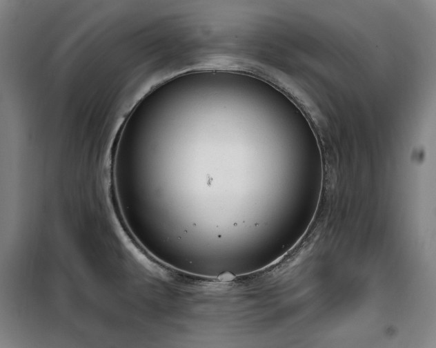 X0000100331479200806051522