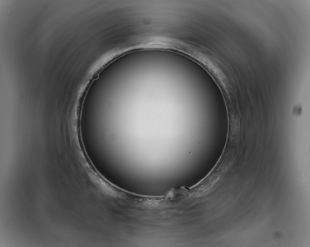 X0000100331480200806051522