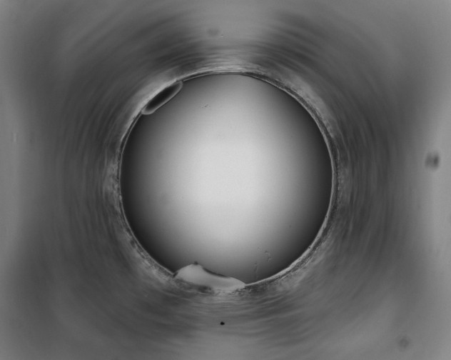 X0000100331481200806051522