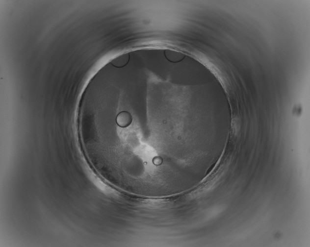 X0000100331482200806051522