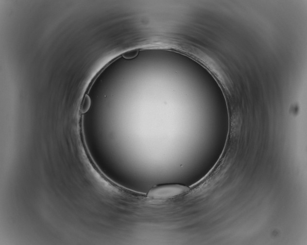 X0000100331484200806051522