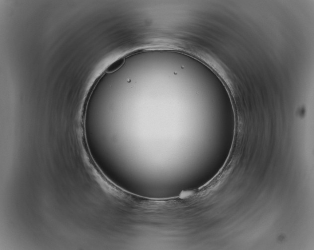 X0000100331485200806051522