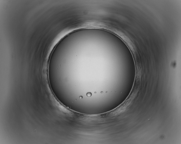 X0000100331486200806051522