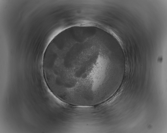 X0000100331487200806051522