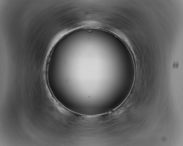 X0000100331488200806051522