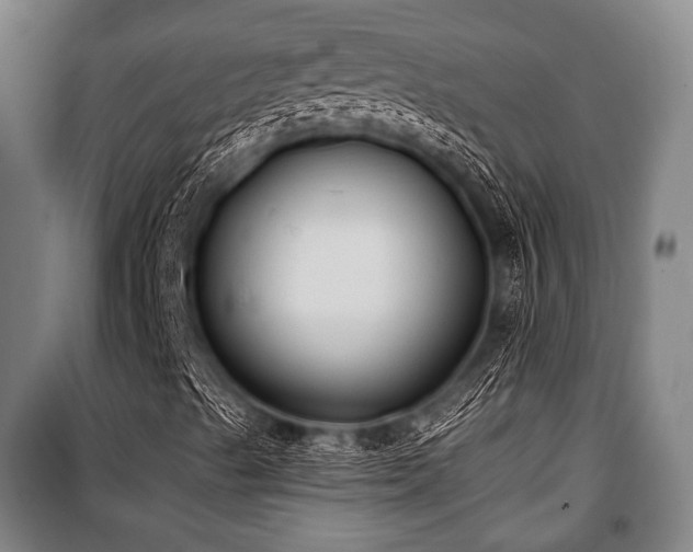 X0000100331489200806051521