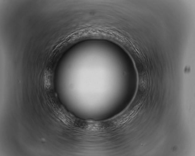 X0000100331490200806051521