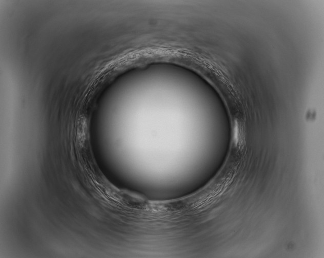 X0000100331492200806051521