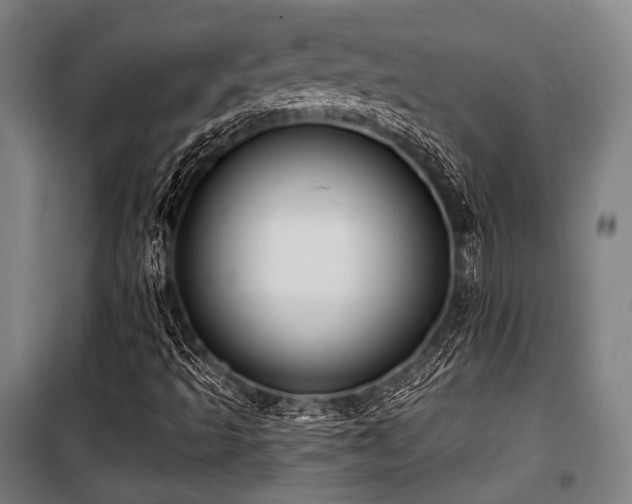 X0000100331493200806051521