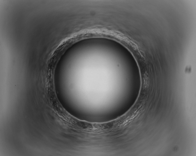 X0000100331494200806051521