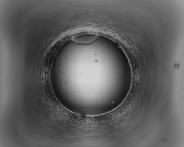 X0000100331495200806051521