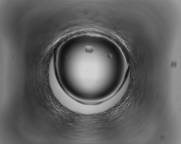 X0000100331496200806051521