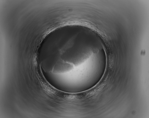 X0000100331497200806051521