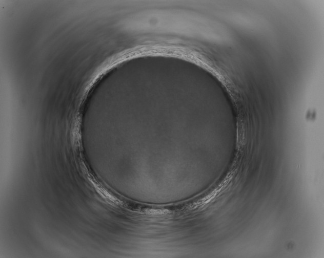 X0000100331498200806051521