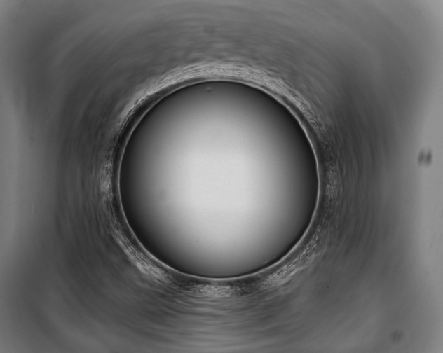 X0000100331499200806051521