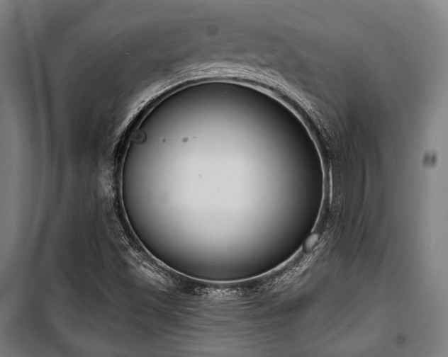 X0000100331501200806051522