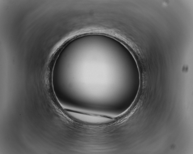 X0000100331502200806051522