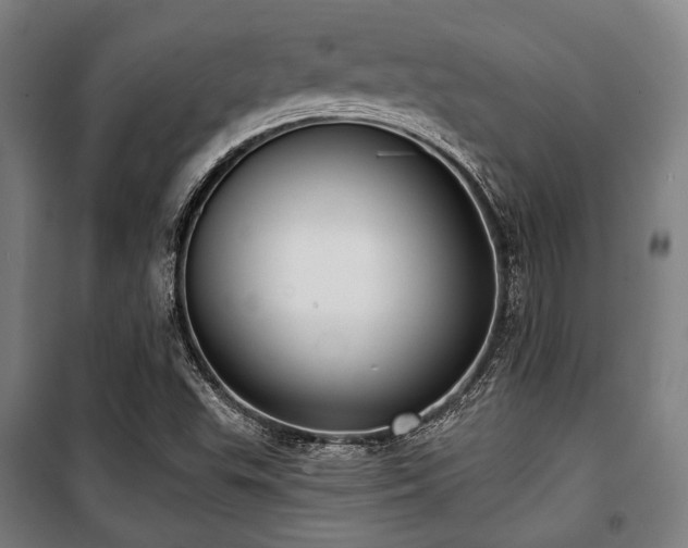 X0000100331503200806051522