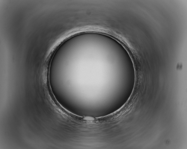 X0000100331504200806051522
