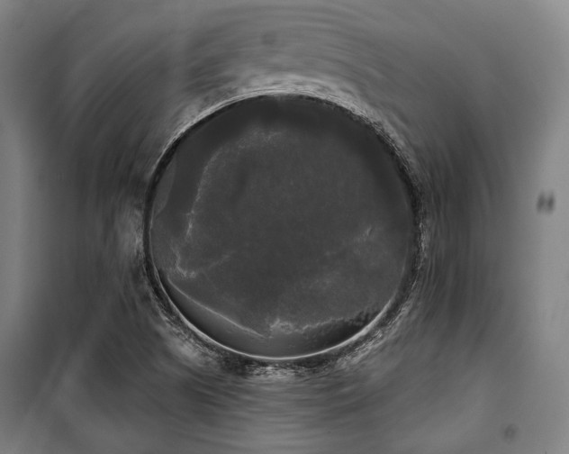 X0000100331505200806051522