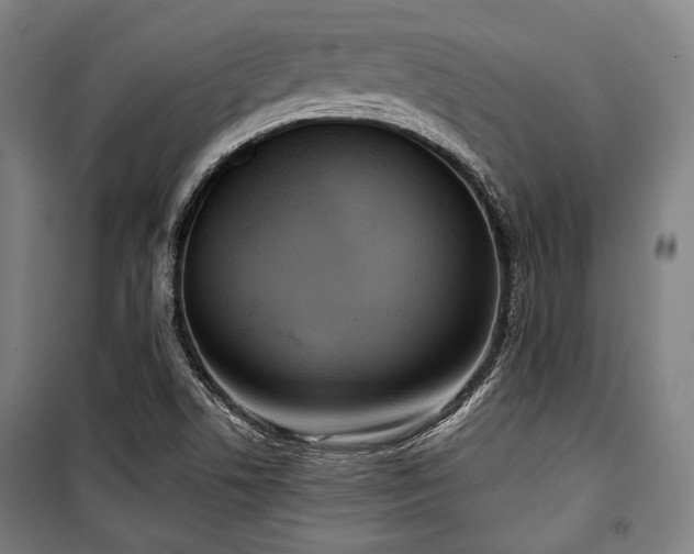 X0000100331506200806051522