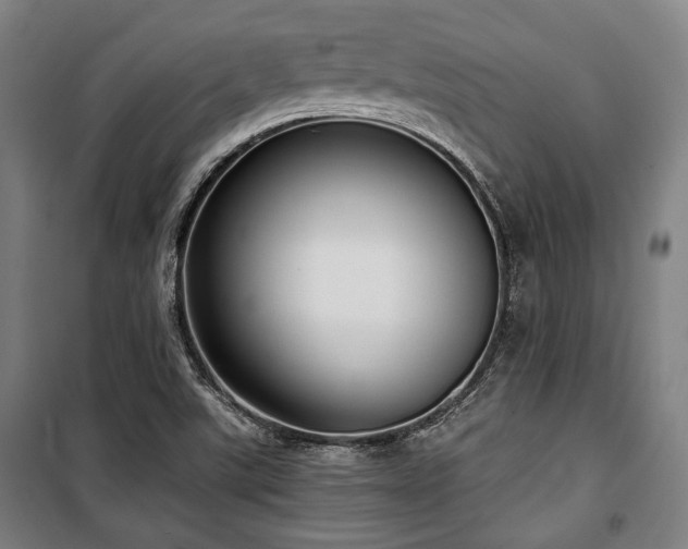 X0000100331507200806051522