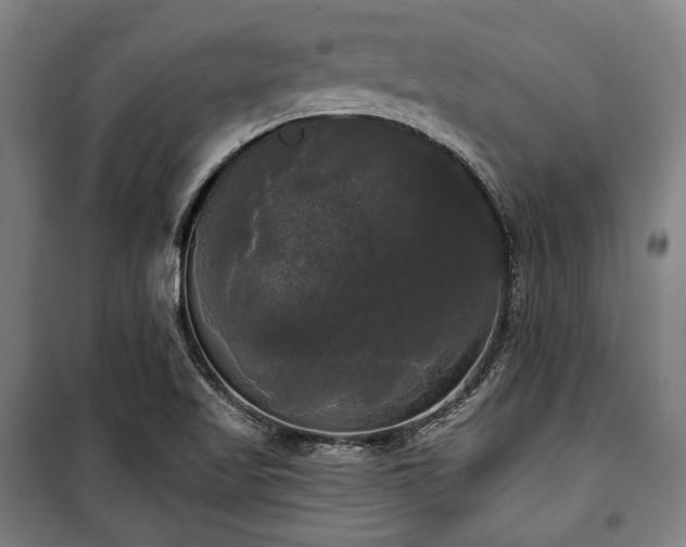 X0000100331509200806051522