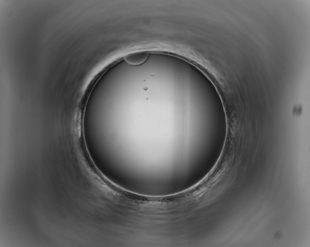 X0000100331510200806051522