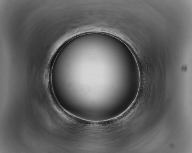 X0000100331511200806051522