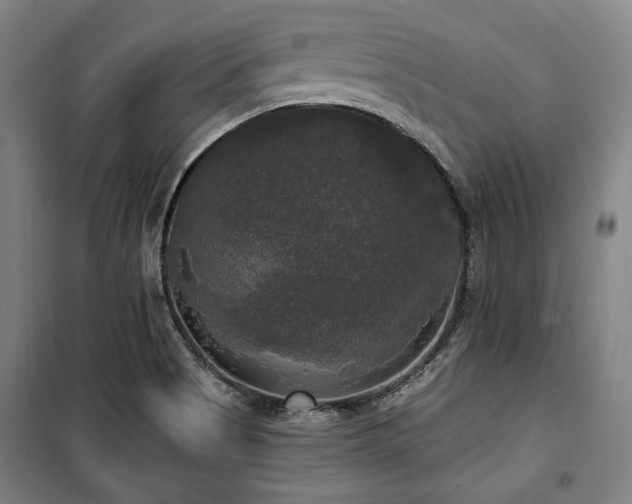 X0000100331513200806051522