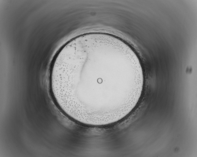 X0000100331514200806051522