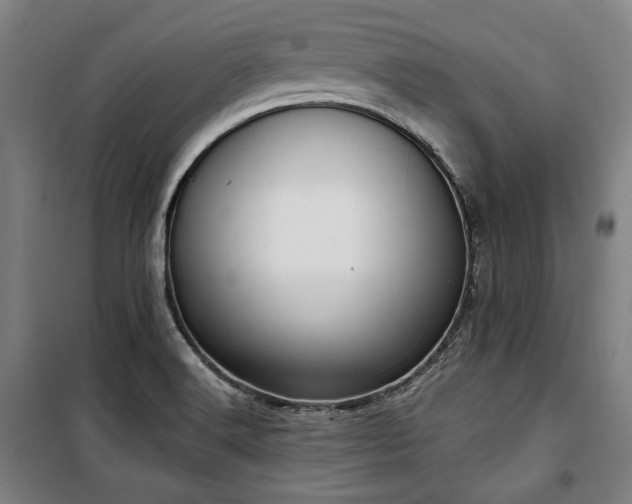 X0000100331516200806051522