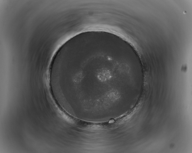 X0000100331517200806051522