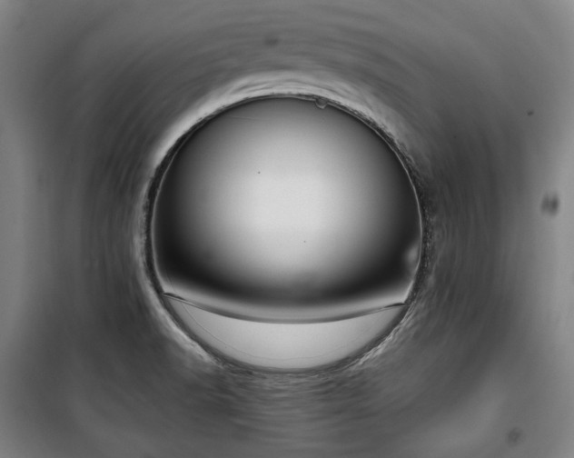 X0000100331518200806051522