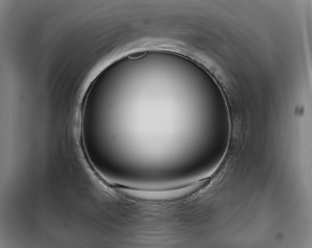 X0000100331520200806051522