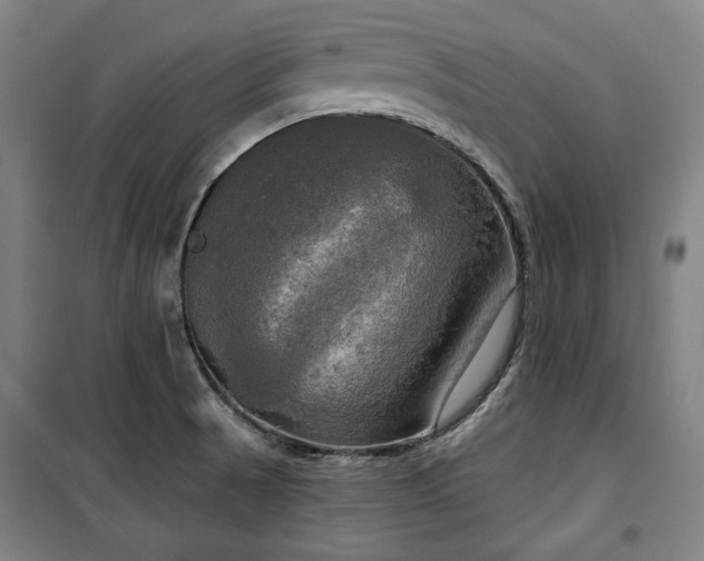 X0000100331521200806051522