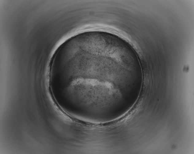 X0000100331522200806051522